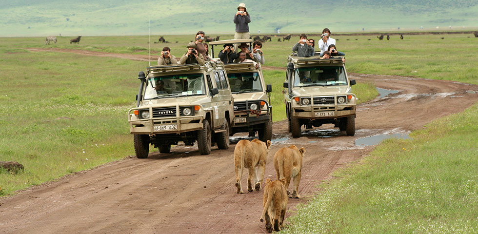 7 Days Kenya Wildlife Tour