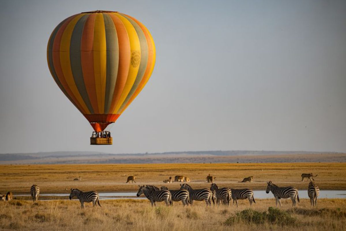 6-day luxury honeymoon safari
