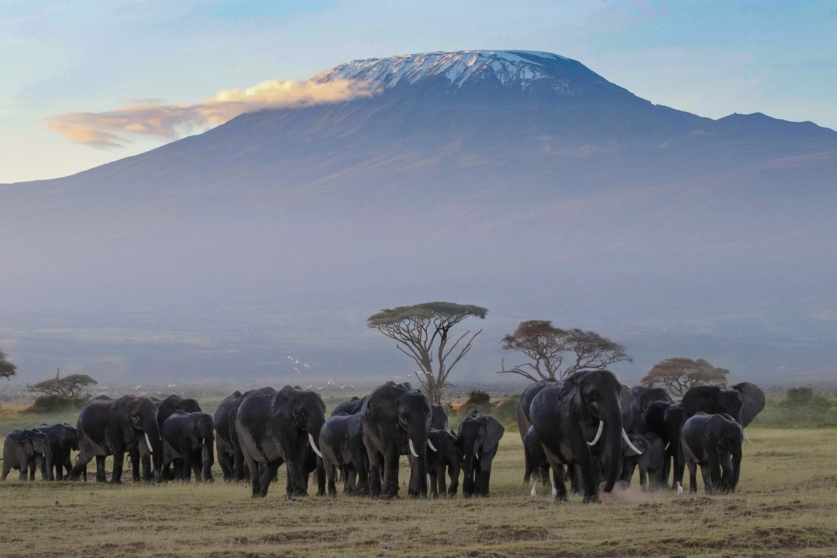 Kilimanjaro National Park