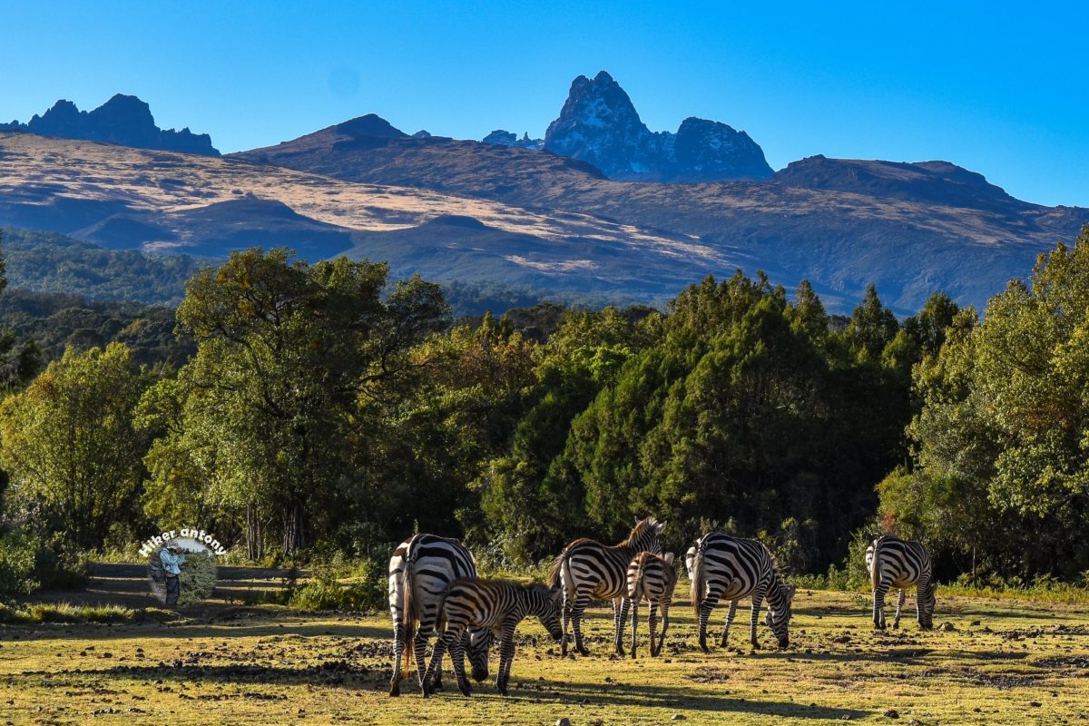Mount Kenya National Park