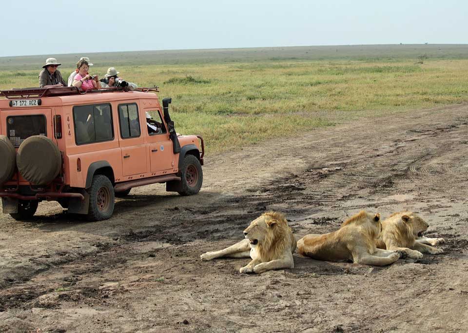 6-Day Majestic Tanzania