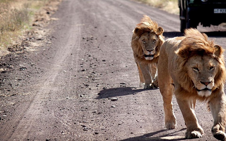 7-Day Majestic Tanzania – Luxury