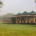 Are Safari Lodges Comfortable
