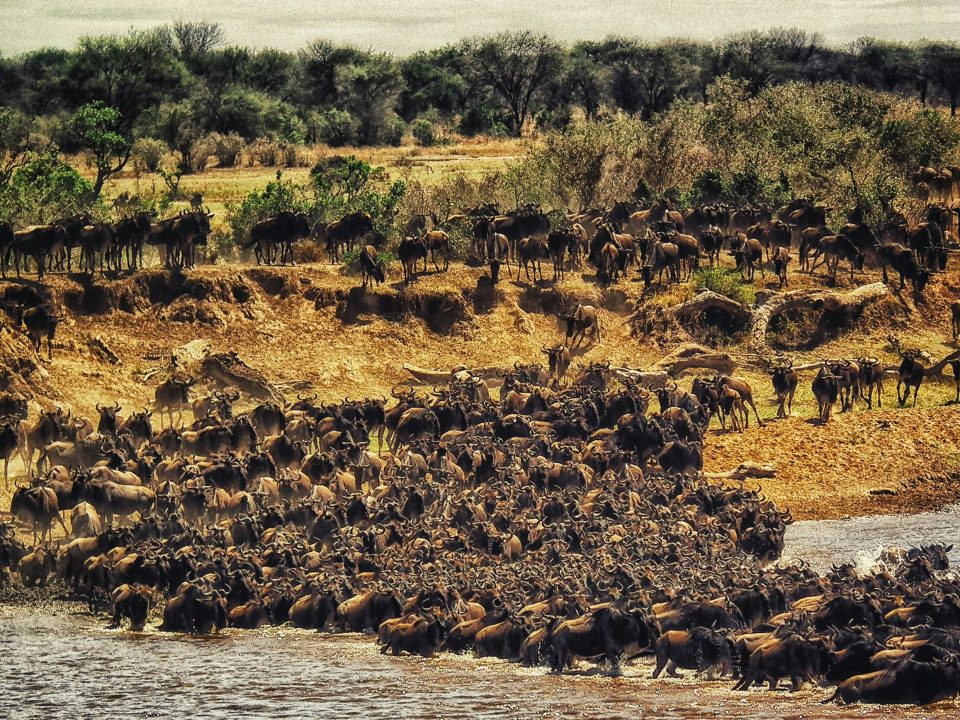6 Days Serengeti Migration Safari