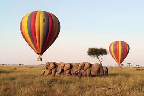 12 Days Kenya Photography Expedition