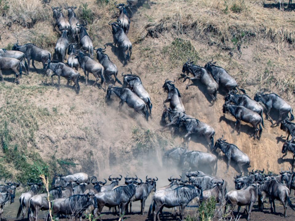 Best Time to See the Migration in Tanzania & Kenya