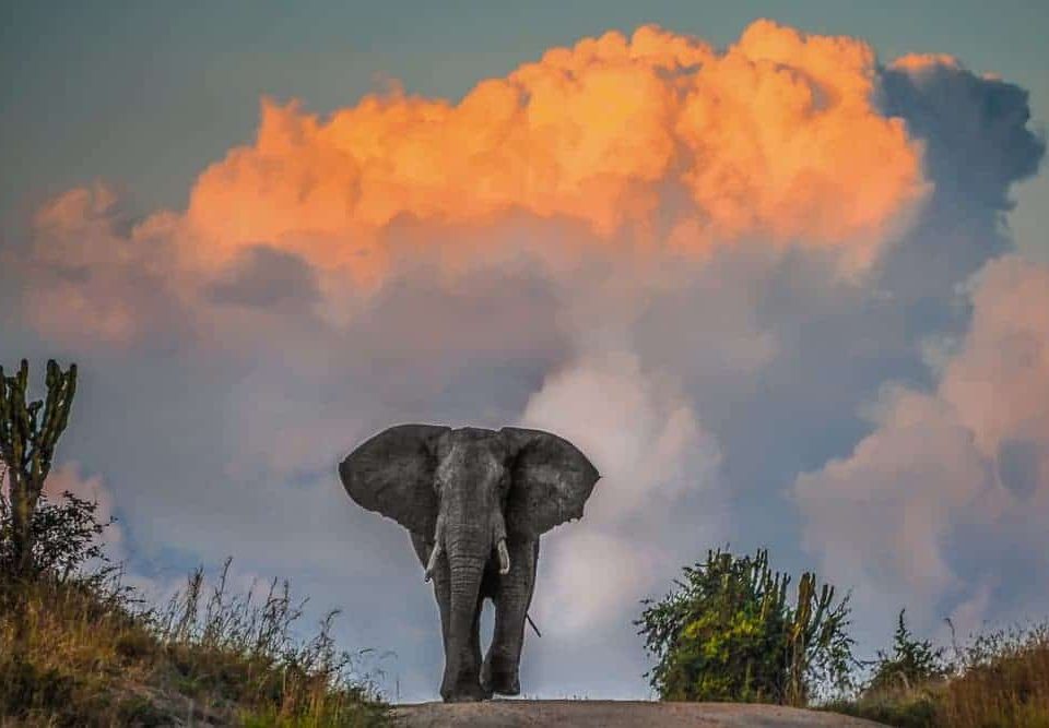Why Are They Called the Big Five