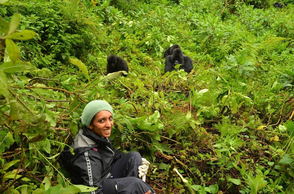 Gorilla Trekking from Botswana