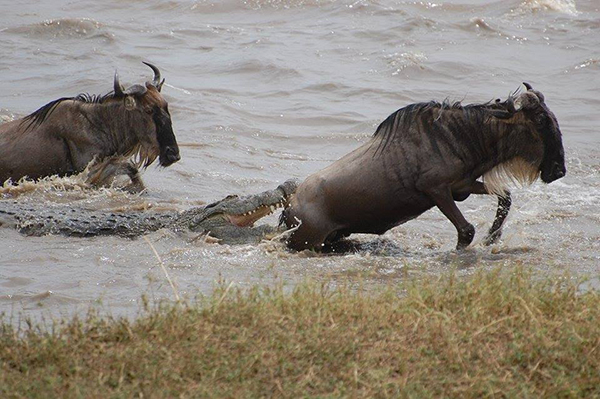 When Does the Great Migration Occur