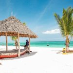 10-Day Tanzania Wildlife Safari