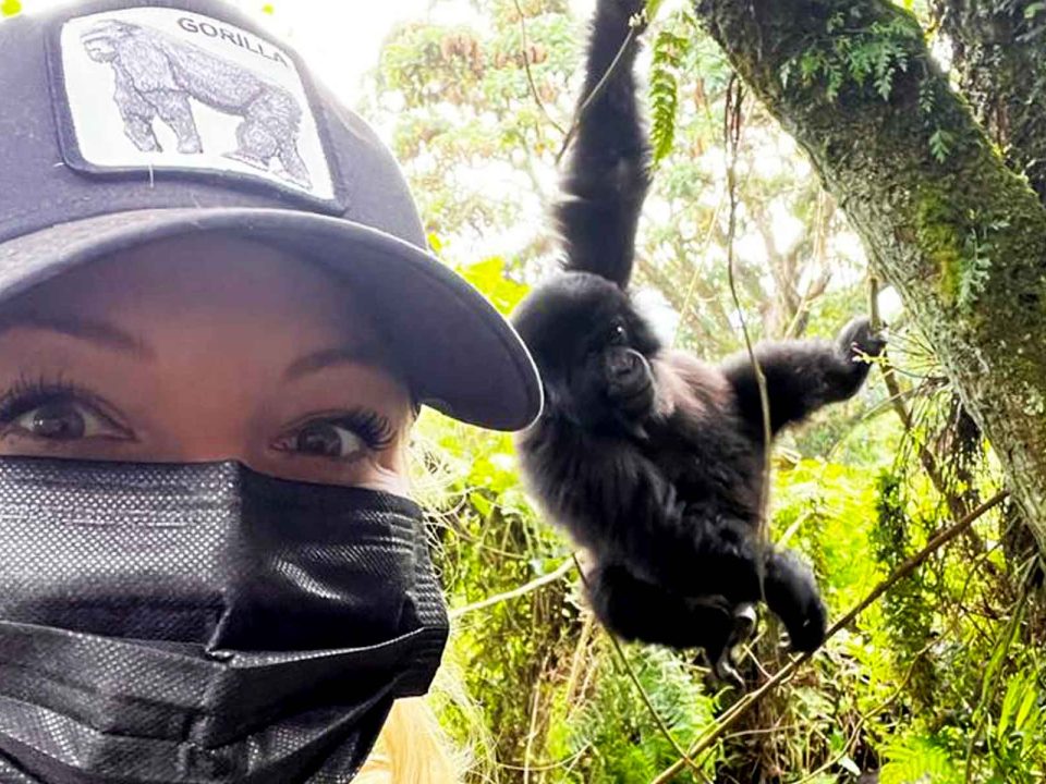 10 Days Uganda Safari Experience