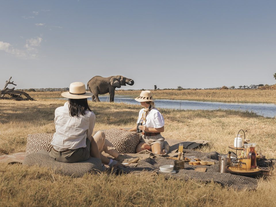 When to Visit East Africa for a Safari