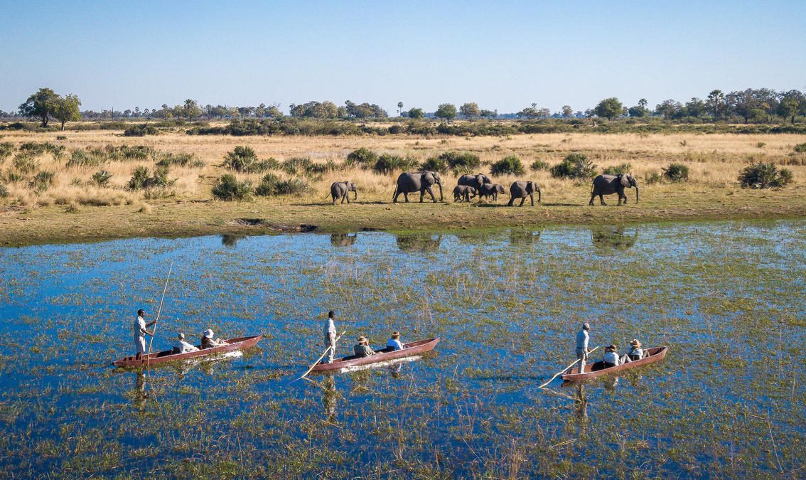 12-Day Botswana & Rwanda Safari