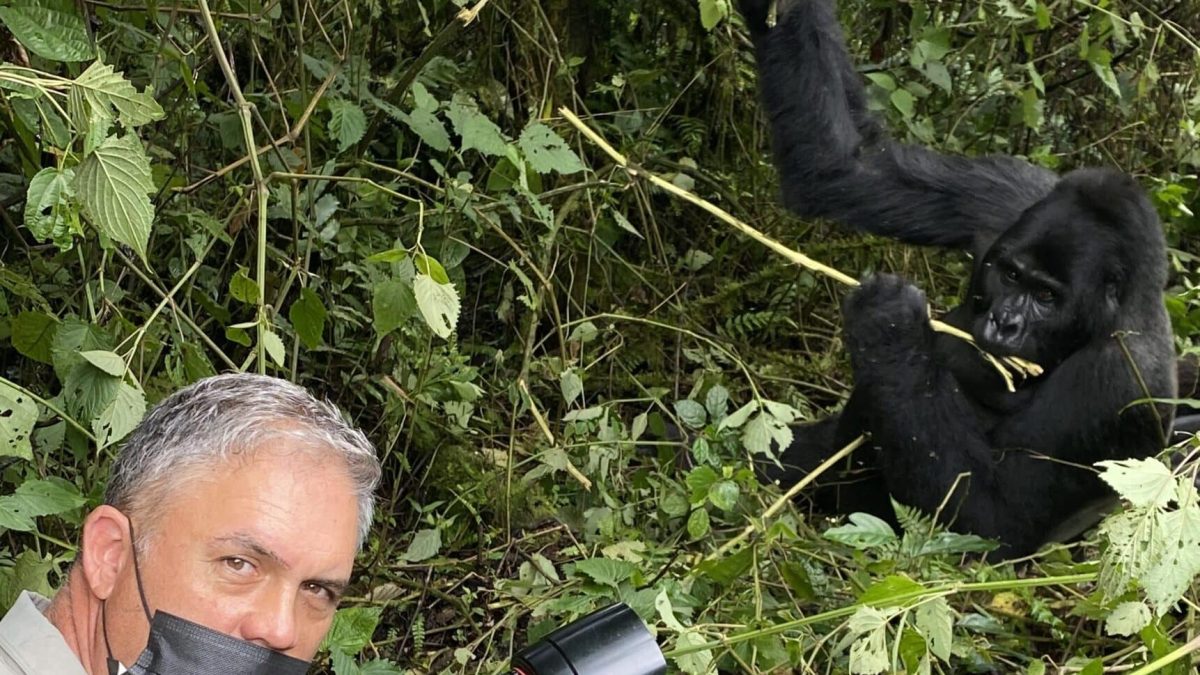 Gorilla Trekking on a Budget