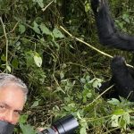 Gorilla Trekking on a Budget