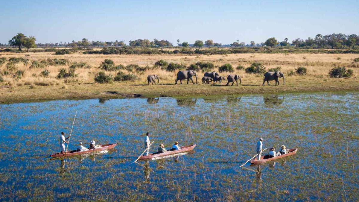 8 Days Kenya Botswana Wildlife Safari