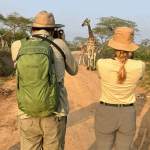Can I Do a Walking Safari in Lake Mburo