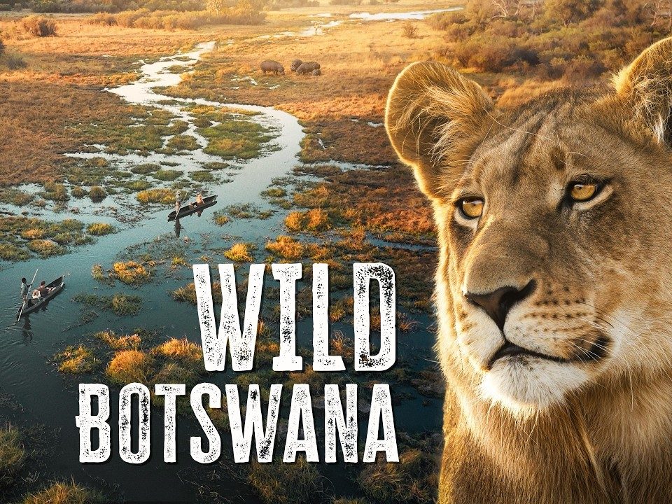 9-Day Botswana & Uganda Safari