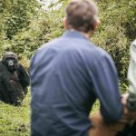 Ultimate Guide to Gorilla Trekking